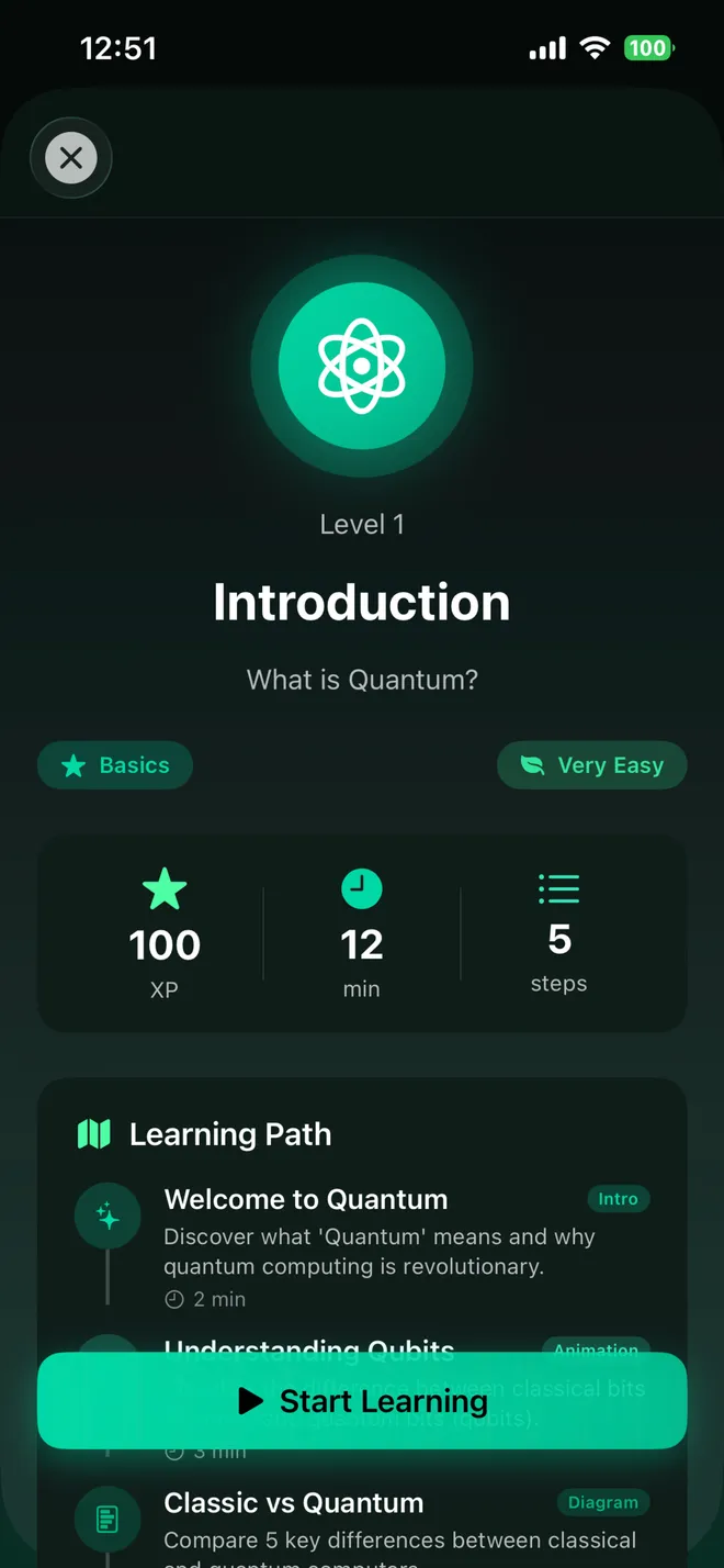QuantumNative: Level 1, Introduction: the learning path and what each step covers.
